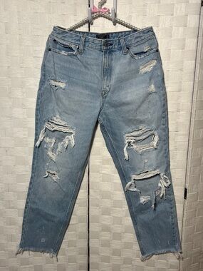 Abercrombie & Fitch Light Blue Distressed Mom Jeans Size 29 8